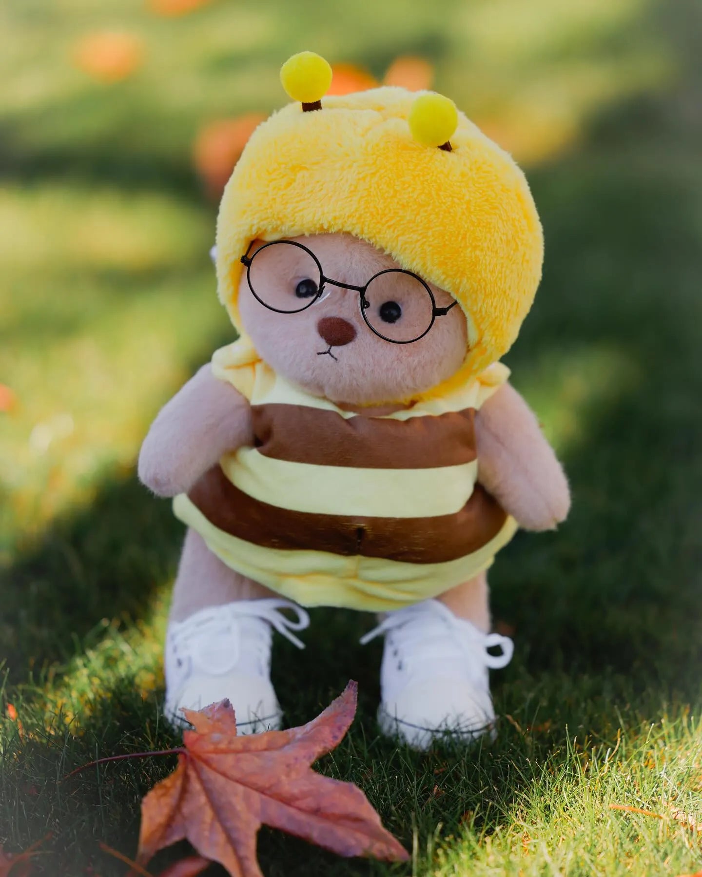 Teddy With Outfit