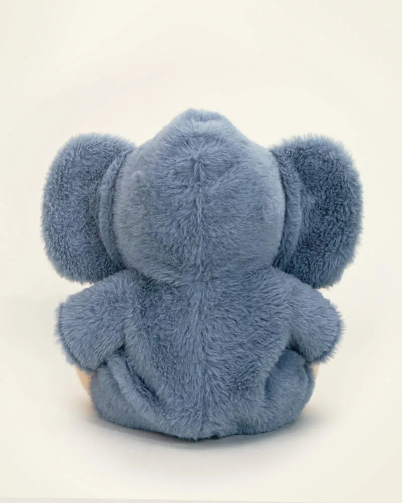 Teddy With Outfit