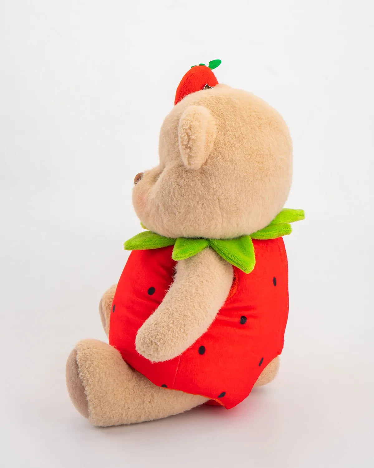 Teddy With Outfit