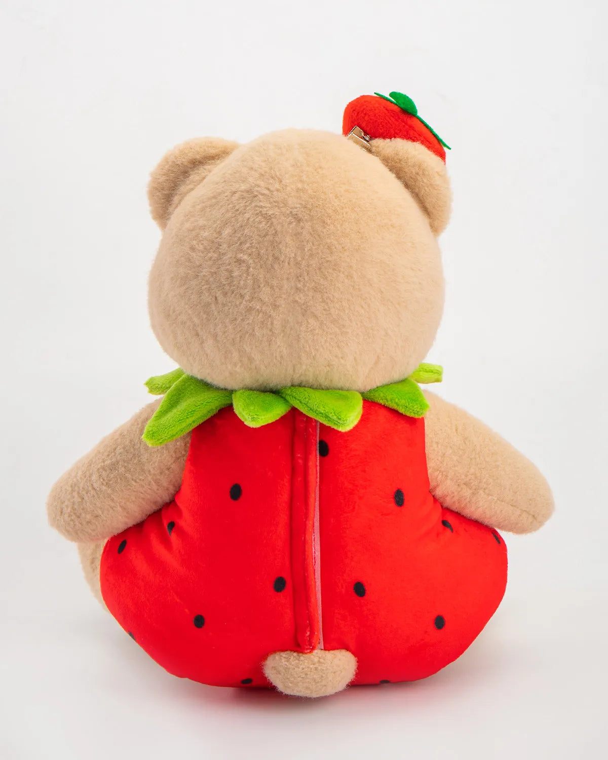 Teddy With Outfit