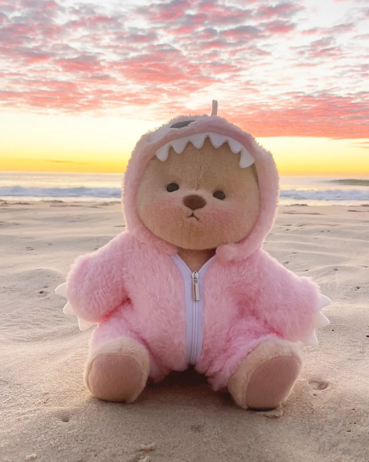 Teddy With Outfit
