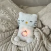 The Healing Kitty
