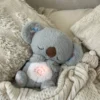 The Calming Koala