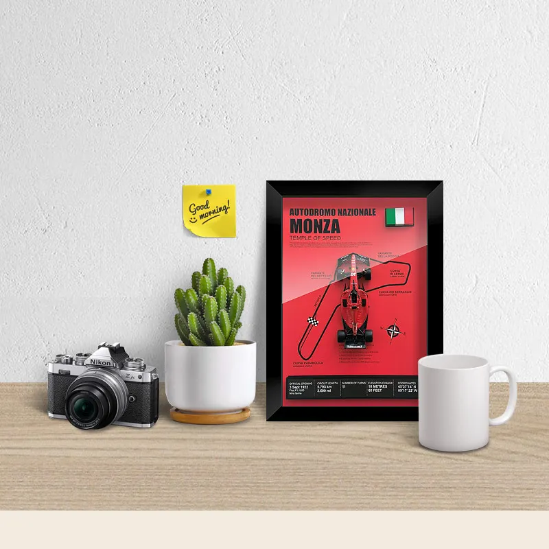 The Pro Frame