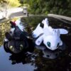 Couple Dragons
