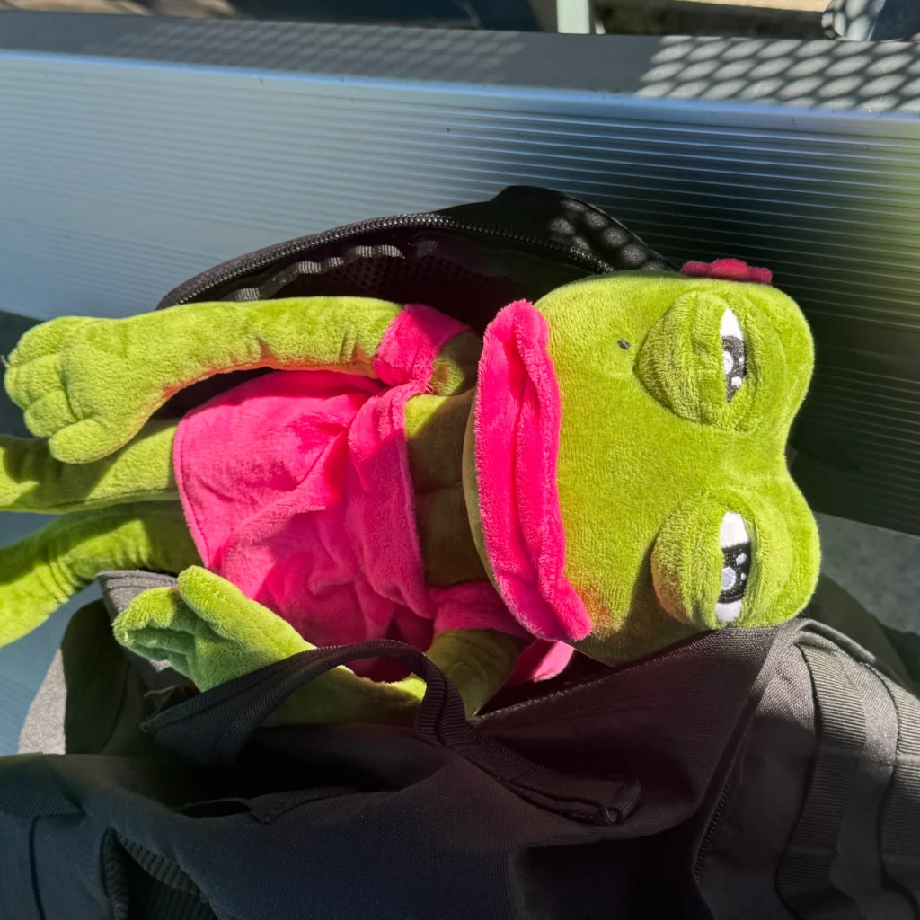 Pepe Plush 11 MR PEPE 2
