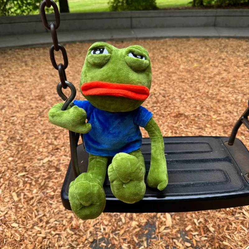 Pepe Plush - Image 4