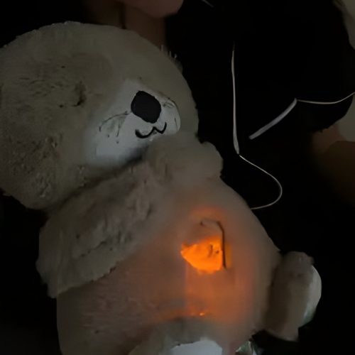 Breathing Teddy (10) Breathing Teddy (10)