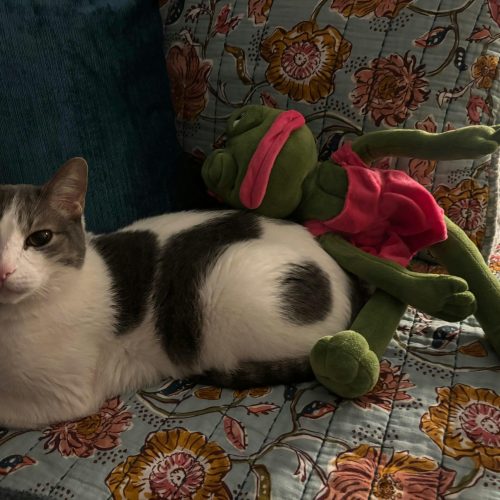 MR PEPE (2) MR PEPE (2)